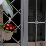 Era De Maggio *